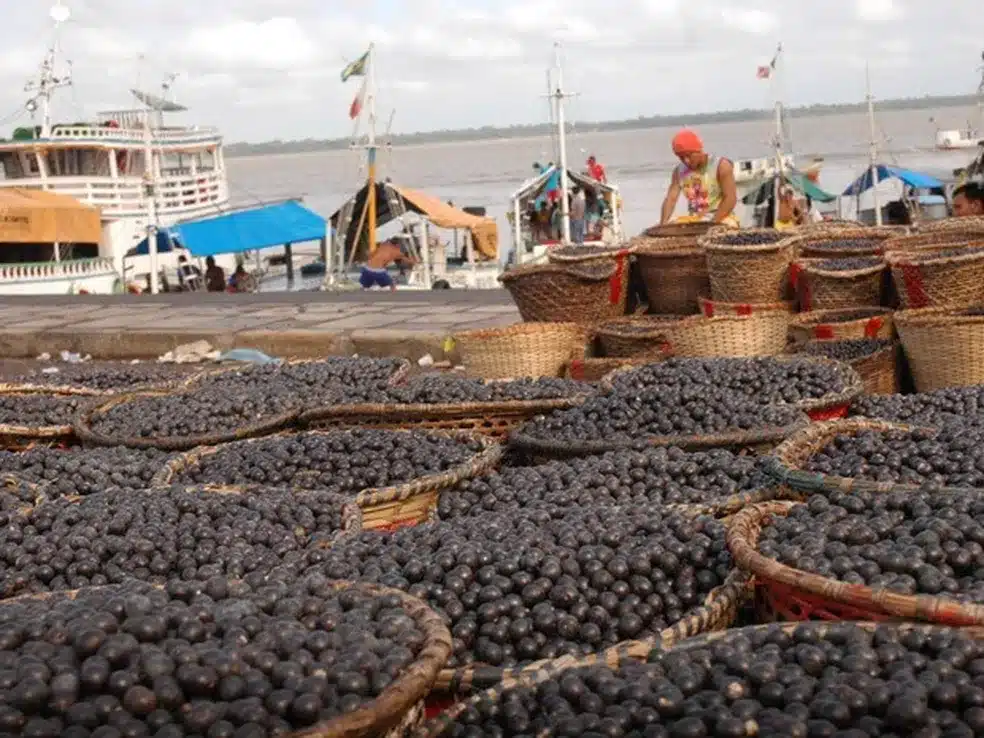 Feira do Açaí, Belém Foto: Divulgação Elivaldo Pamplona/Prefeitura Municipal de Belém