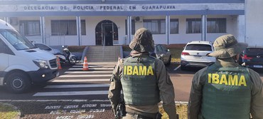 Fiscalizacao-do-Ibama Operação na TI Mangueirinha desmantela rede de extração ilegal de araucária no Paraná