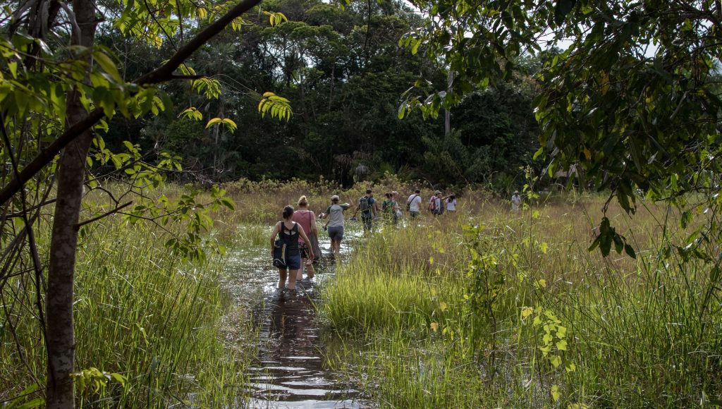 ACS lança curso de comunicação científica voltado para a Amazônia Legal Imagem ilustrativa - UFPA