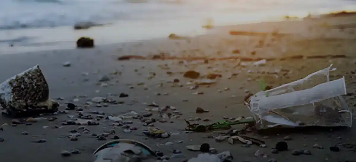 Poluição plástica é crise global de saúde, diz estudo