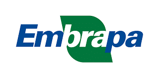 Logo-Embrapa-Divulgacao Novo curso da Embrapa ensina a avaliar adoção de tecnologias agropecuárias