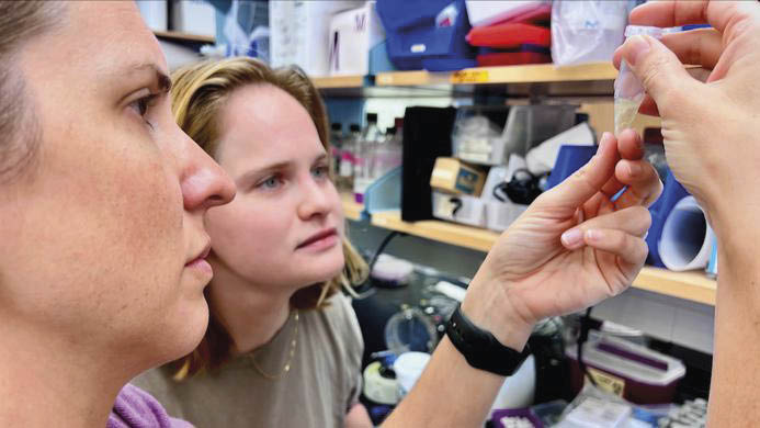 Amanda Oehlert e a aluna Sarah Wells analisam uma amostra