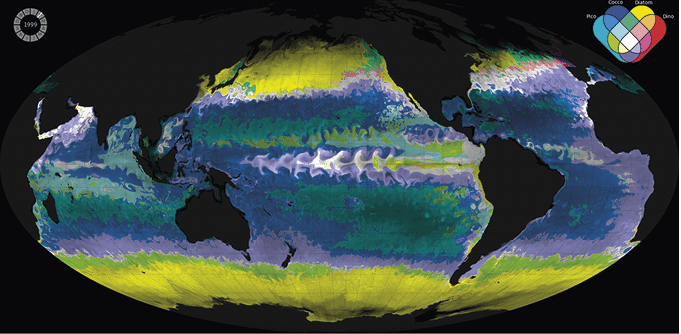 Modelo de ecossistema oceânico de Darwin impulsionado pelos campos de circulação oceânica da ECCO. O modelo simula 35 espécies de fitoplâncton, variando em tamanho de 0,6 a mais de 200 µm em diâmetro esférico equivalente, e 16 zooplânctons, variando de 6 a mais de 2000 µm de diâmetro. As cores mostram diferentes agrupamentos de tipos funcionais de fitoplâncton. Essa ecologia oceânica realista, baseada na "sobrevivência do mais apto", é a base do modelo de biogeoquímica oceânica ECCO-Darwin, que utiliza um ecossistema simplificado baseado nas espécies mais bem-sucedidas na simulação acima