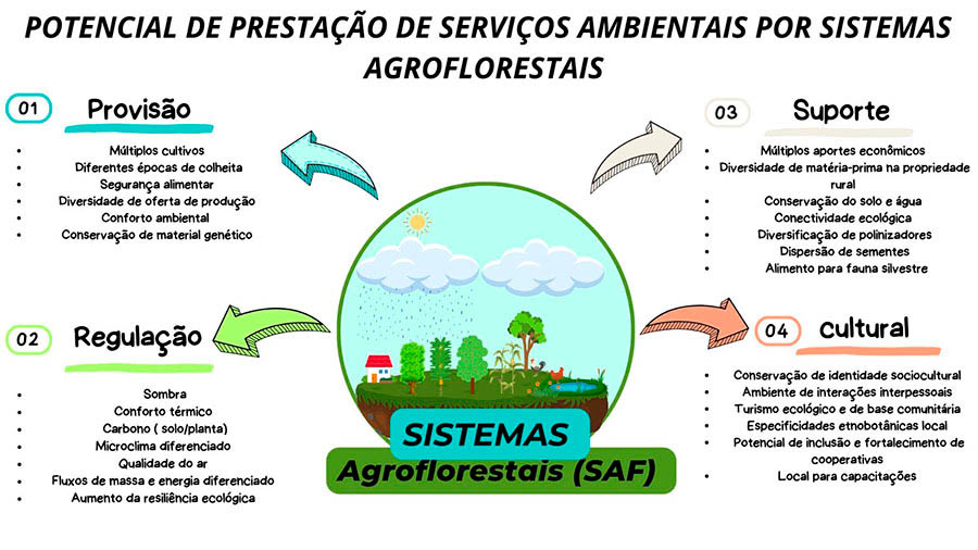 Os_Sistemas_Agloflorestais_SAFs_s_o_formas_de_restaura__o_produtiva Onde e com quais espécies reflorestar a Amazônia com base na ciência