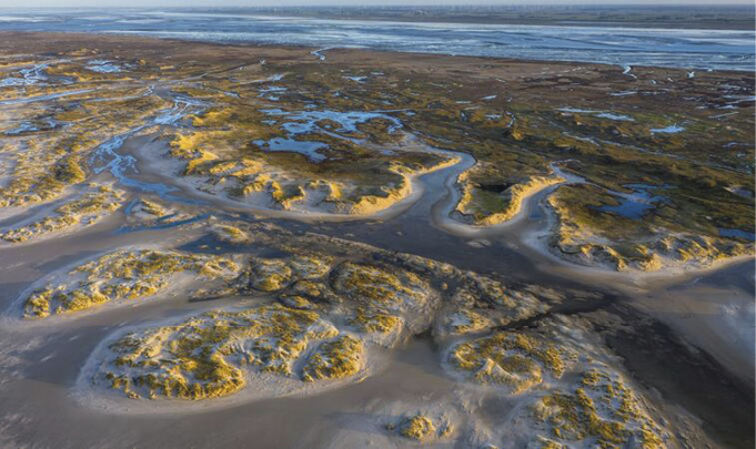 Proteger os estoques de carbono marinho existentes (Mar de Wadden ) para evitar a liberação adicional de carbono já armazenado