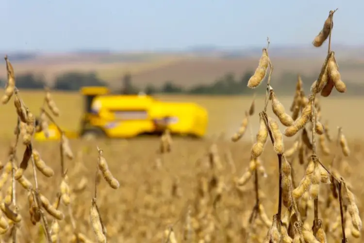 Screenshot-2025-08-01-112433 Compra e financiamento da soja na Amazônia seguem em meio a controvérsias