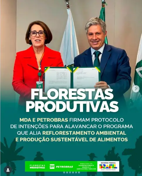 Screenshot-2025-08-02-015526 Petrobras participará de programa de incentivo a florestas produtivas