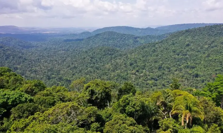 Screenshot-2025-08-04-123840 ATPI lança Envira REDD+ no Acre: Crédito de carbono de alta Integridade com Petrobras, Netflix e Lavazza