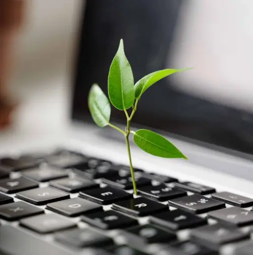 Screenshot 2025 08 04 174622