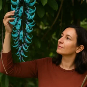 Trepadeira jade: 5 segredos para flores brilhantes Trepadeira jade 5 segredos para flores brilhantes