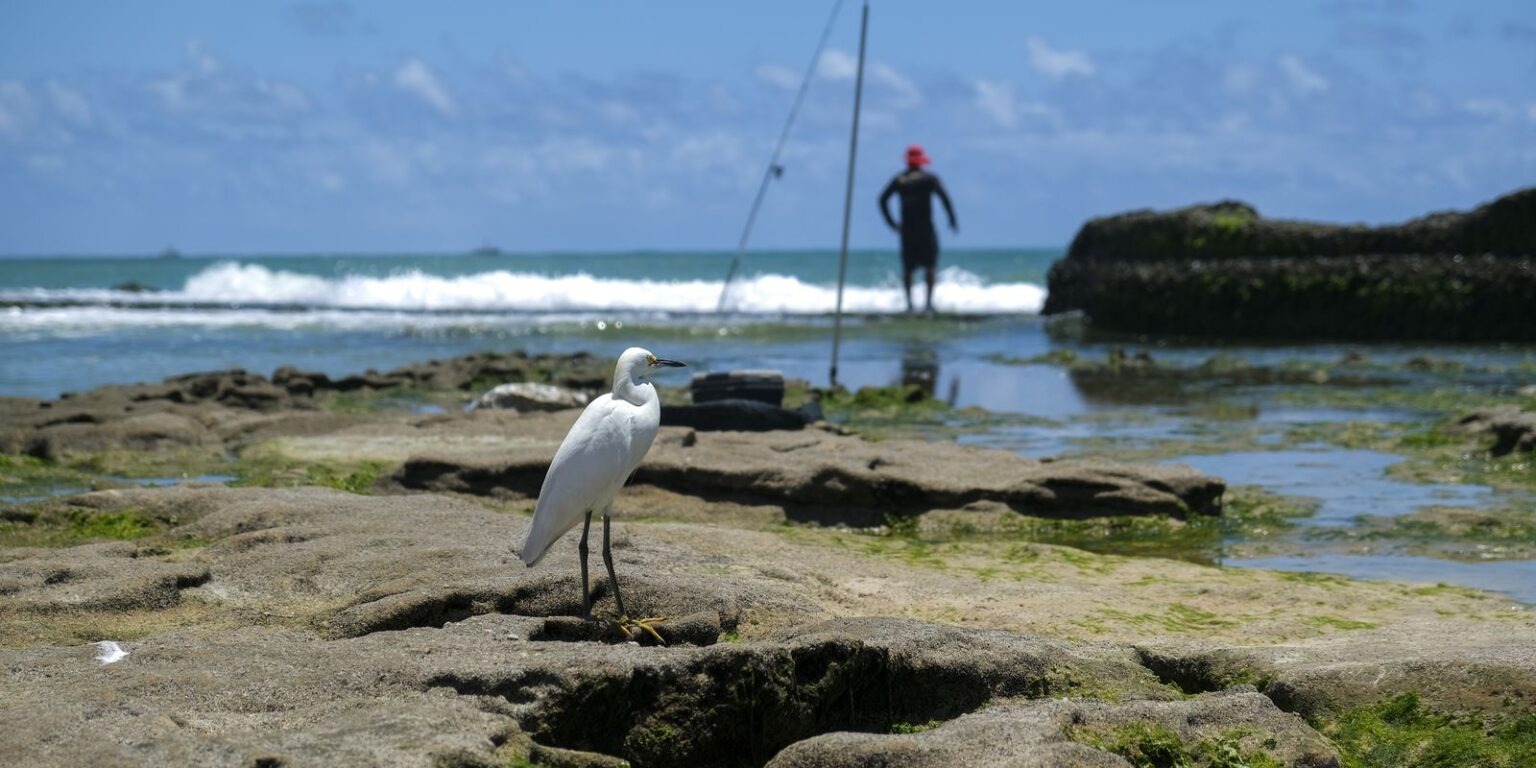 Amazônia Azul: roteiro estratégico para impulsionar o desenvolvimento sustentável do litoral brasileiro Amazônia Azul: roteiro estratégico para impulsionar o desenvolvimento sustentável do litoral brasileiro