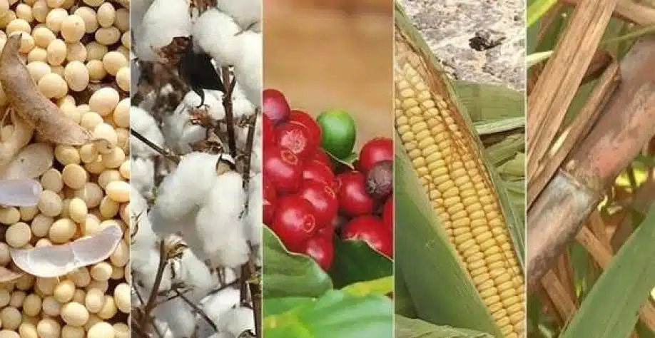 O fim dos mitos, o agro brasileiro diante da nova geopolítica mundial Imagem Divulgação
