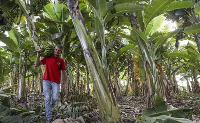 agricultor-familiar-agencia-brasil AgroAmigo chega ao Norte e Centro-Oeste com R$ 1 bilhão para agricultura familiar