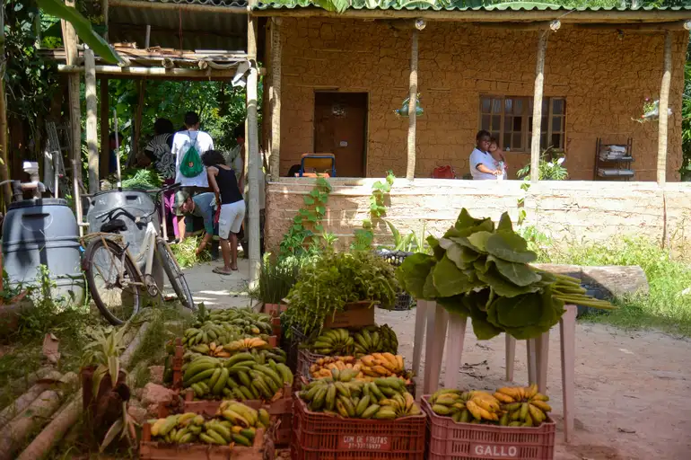 Agricultura familiar -agência brasil