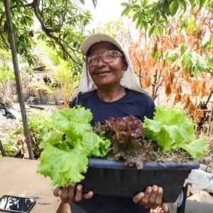 Dívida de carbono do solo brasileiro ameaça qualidade nutricional dos alimentos Agro familiar - Alex Ribeiro/Ag. Pará