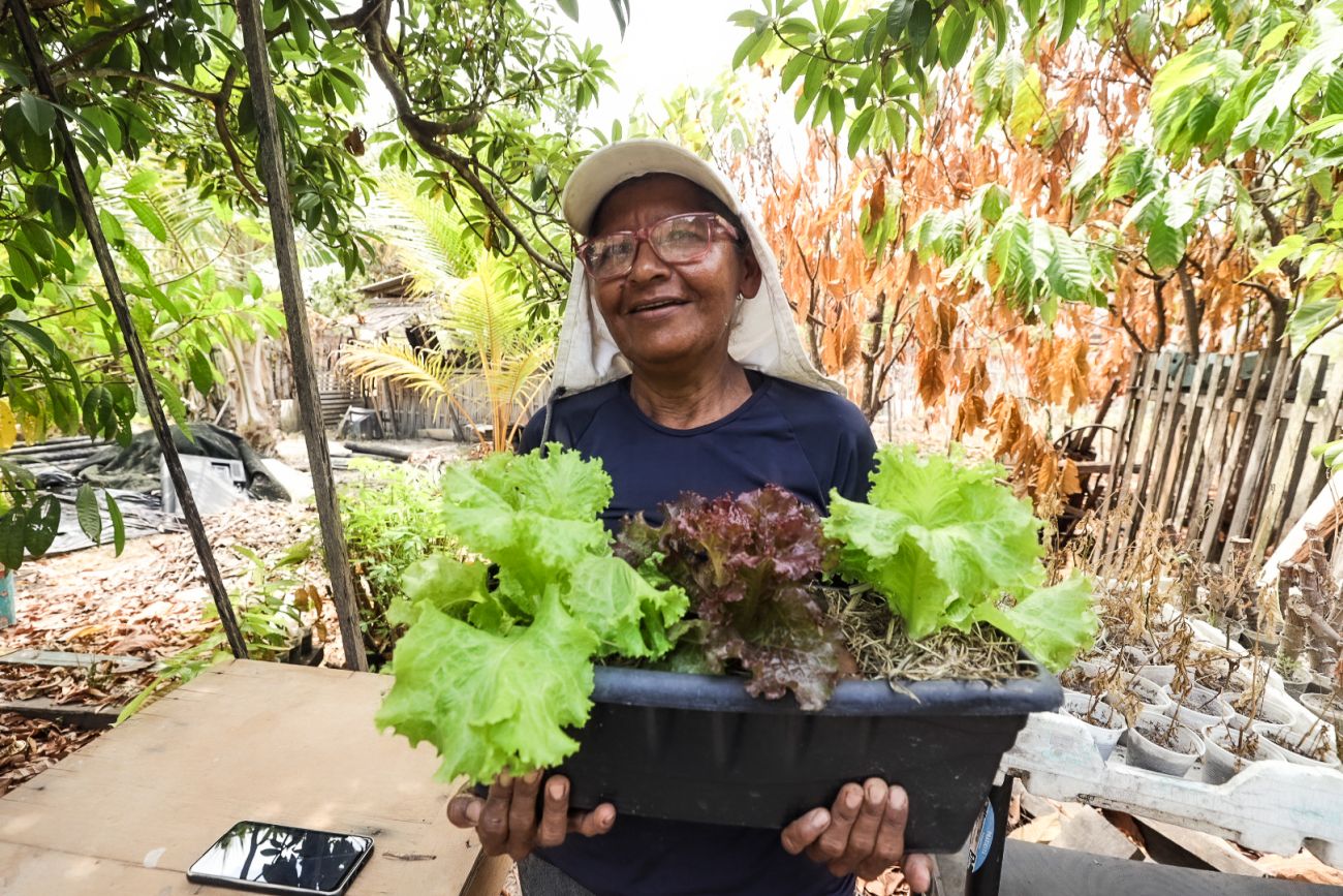 Agro familiar - Alex Ribeiro/Ag. Pará