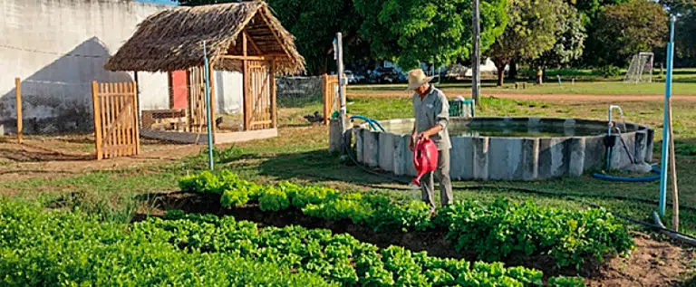 Novo curso da Embrapa ensina a avaliar adoção de tecnologias agropecuárias Gilberto Gil por: Giovanni Bianco