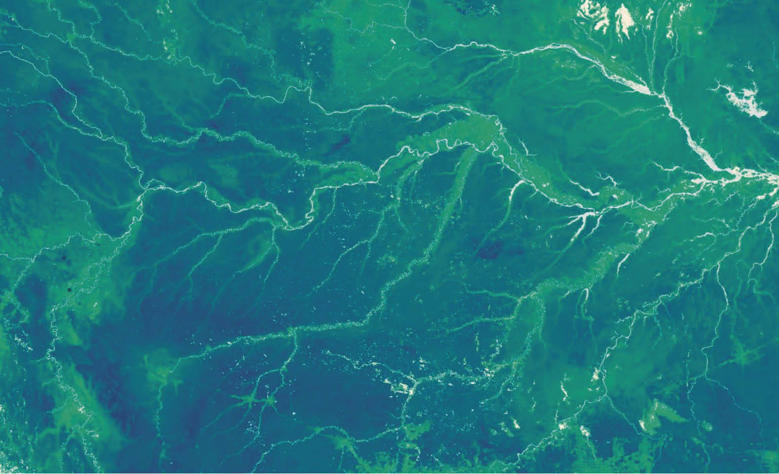 Esta imagem da floresta amazônica é de um mapa baseado em vários conjuntos de dados de satélite com dados de estrutura de cobertura 3D da missão lidar GEDI, uma análise que se baseou em mais de 6.700 observações correspondentes coletadas durante a estação seca da Amazônia