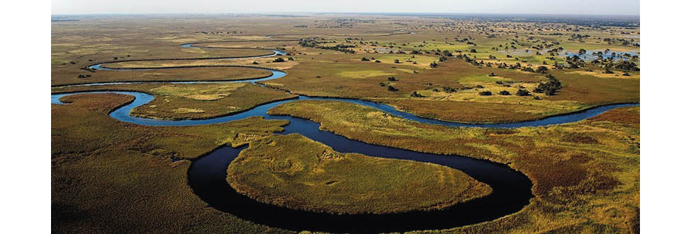 Águas mais quentes podem se sobrepor a águas mais frias e interferir na mistura de nutrientes essenciais para a sobrevivência das algas