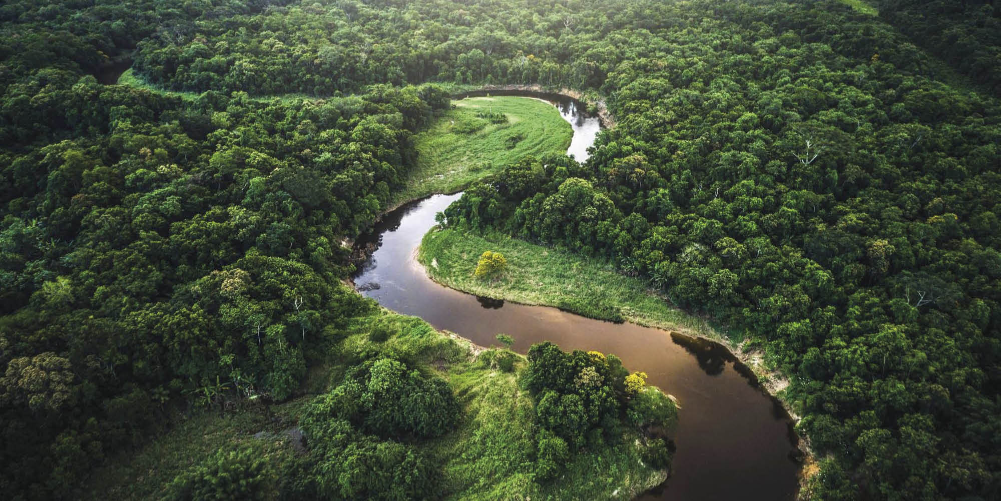 Florestas tropicais como esta na Amazônia removem grandes quantidades de dióxido de carbono atmosférico