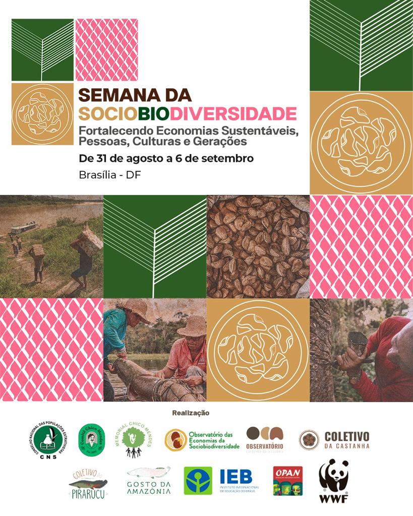 Semana da Sociobiodiversidade fortalece economias locais Foto: divulgação