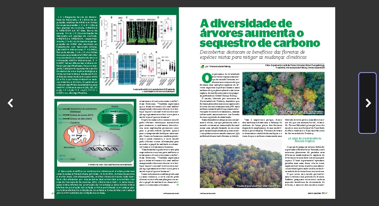 08 Revista Amazônia de setembro "explorando o potencial do carbono azul e a resiliência da floresta"