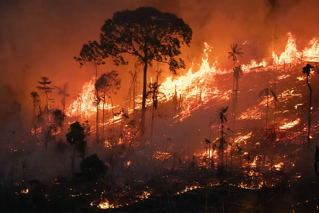 Amazônia brasileira emite mais carbono que 186 países indica estudo da Infoamazônia Amazônia Real/Reprodução
