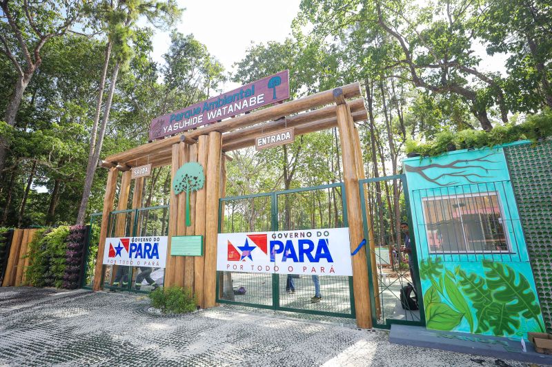 Áreas protegidas impulsionam renda sustentável e fortalecem comunidades no Pará Reprodução