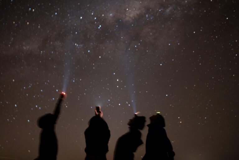 National Geographic lança edital global para transformar a educação e o futuro do planeta Divulgação - National Geographic