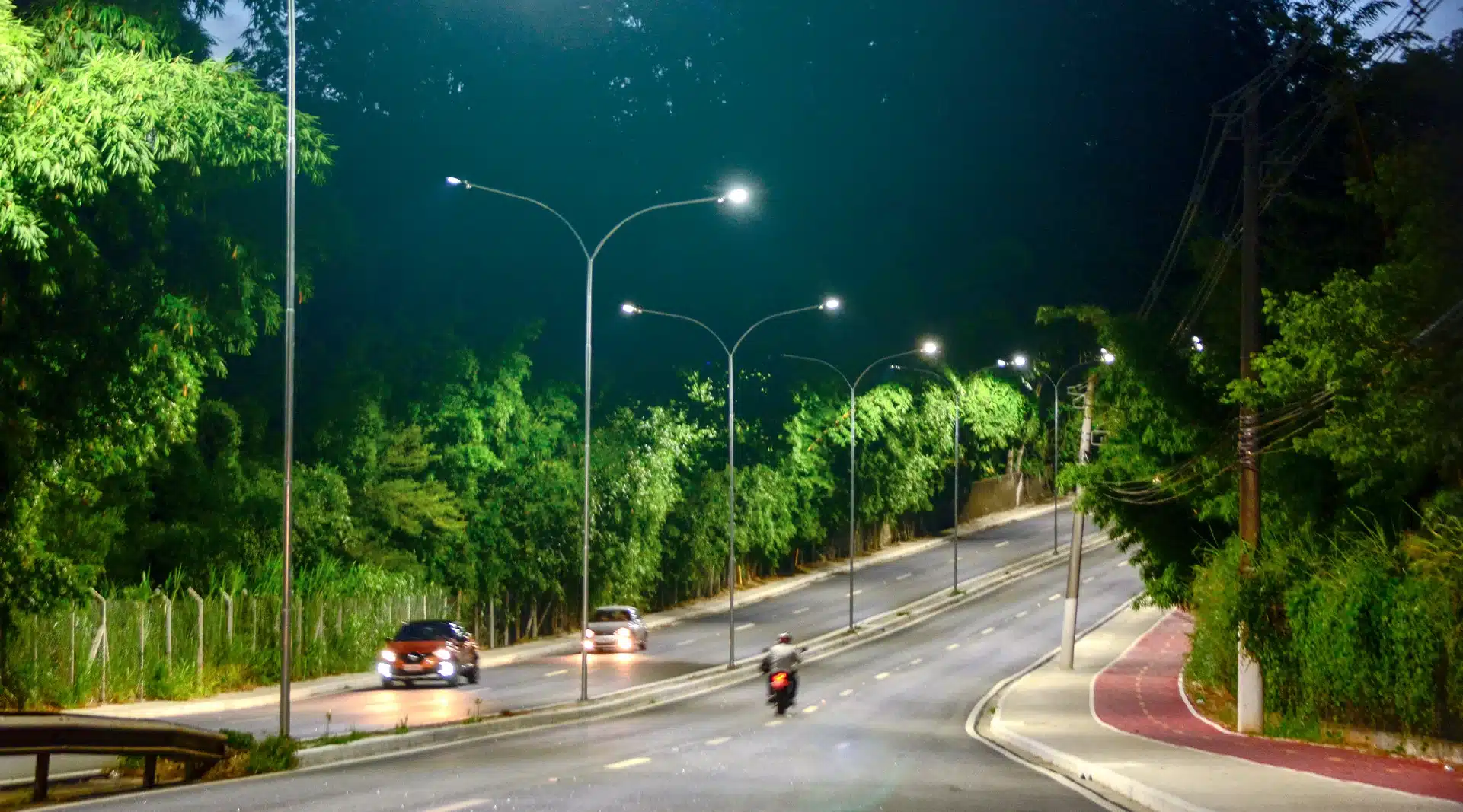 Plantas que brilham no escuro podem um dia substituir postes de luz Reprodução