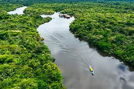 Rios da Amazônia: a vida em 10 artérias que nutrem a floresta
