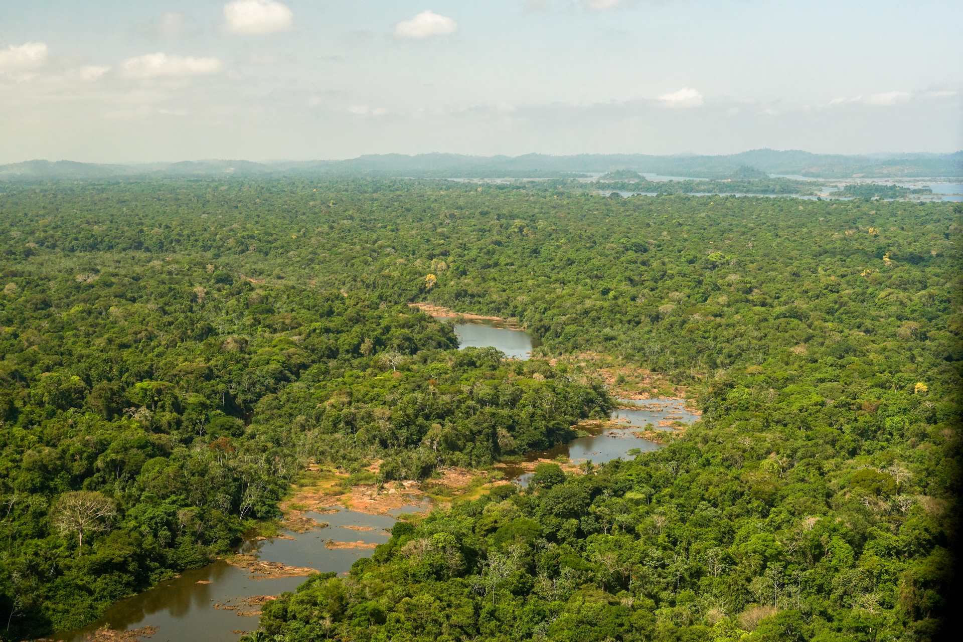 BNDES lança edital para restaurar florestas na Bacia do Xingu