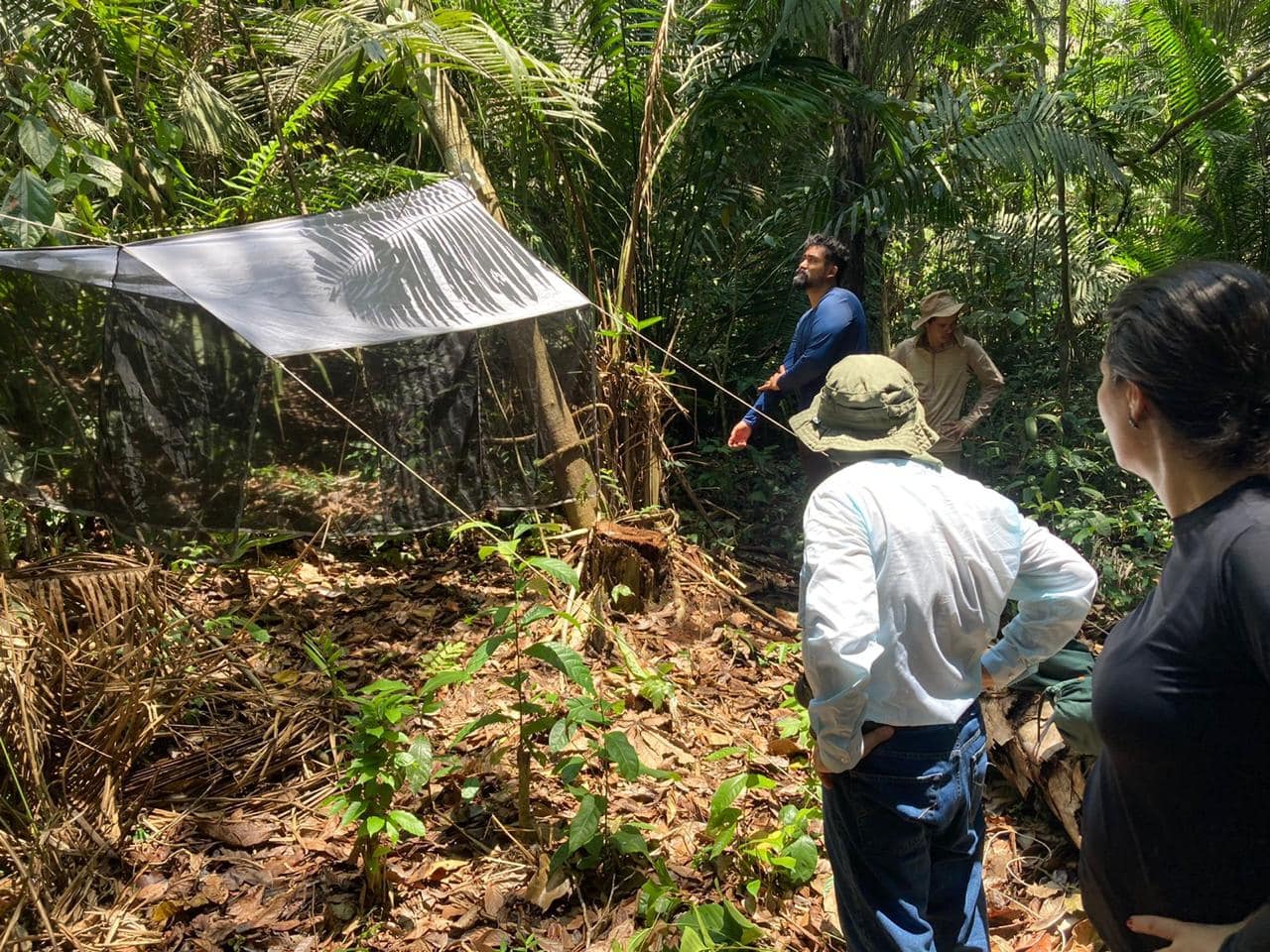 Descoberta no Acre reforça combate à doença de Chagas Estudo sobre a doença de Chagas na Amazônia foi publicado na revista da editora Elsevier da Holanda, com o .Foto: cedida
