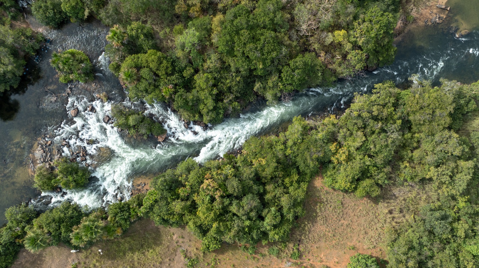 Cerrado precisa estar no centro da COP30 em Belém Divulgação