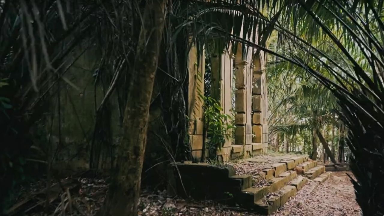 airaovelho A cidade da floresta que quase desapareceu do mapa e hoje atrai turistas de todo o mundo