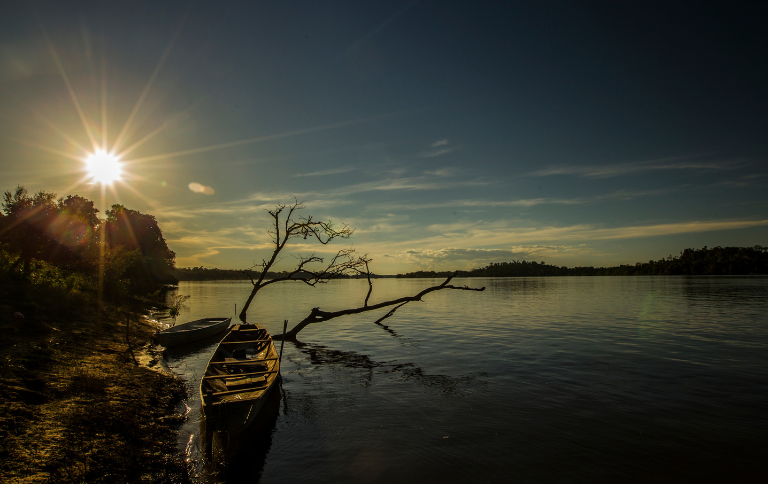 Recursos de Belo Monte fortalecem Unidades de Conservação no Pará Agência Brasil