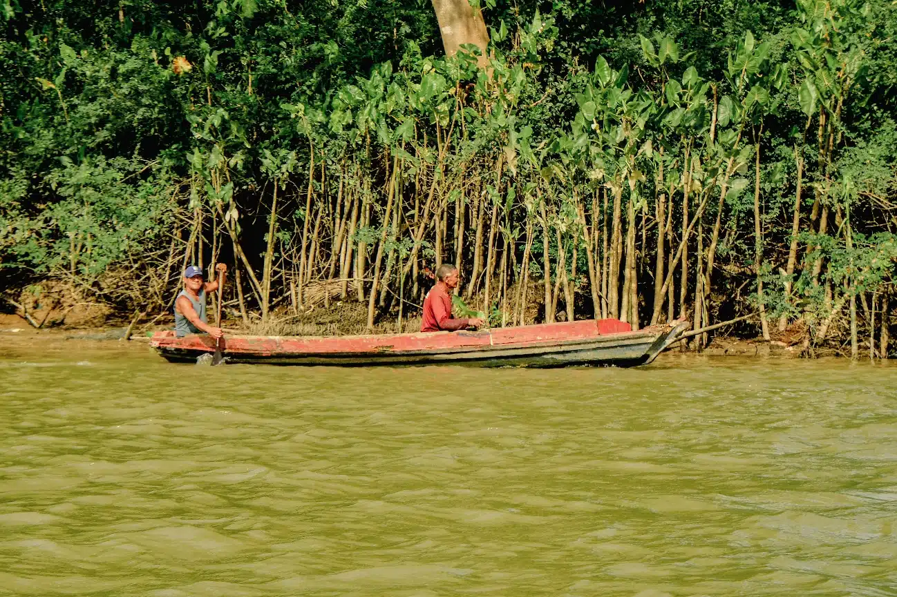 Inteligência artificial se torna aliada estratégica no combate ao desmatamento na Amazônia Ilha de Outeiro- Fotos: Flavio Contente