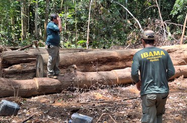 bc622bad-7d16-4b4e-aa8f-3a902cf707d1 Ibama desarticula esquema de desmatamento ilegal em Apuí, no Amazonas