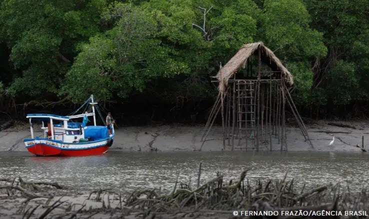 COP30 coloca Amazônia e sustentabilidade no centro do debate global Reprodução