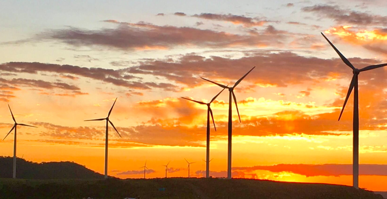 Brasil exibe força climática para liderar COP30 com credenciais únicas Divulgação - EBC
