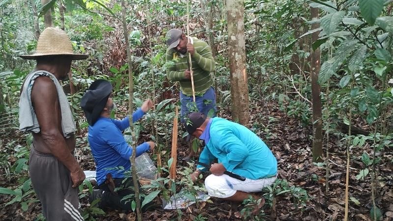 Expedição identifica no coração da Amazônia amostras para a pesquisa