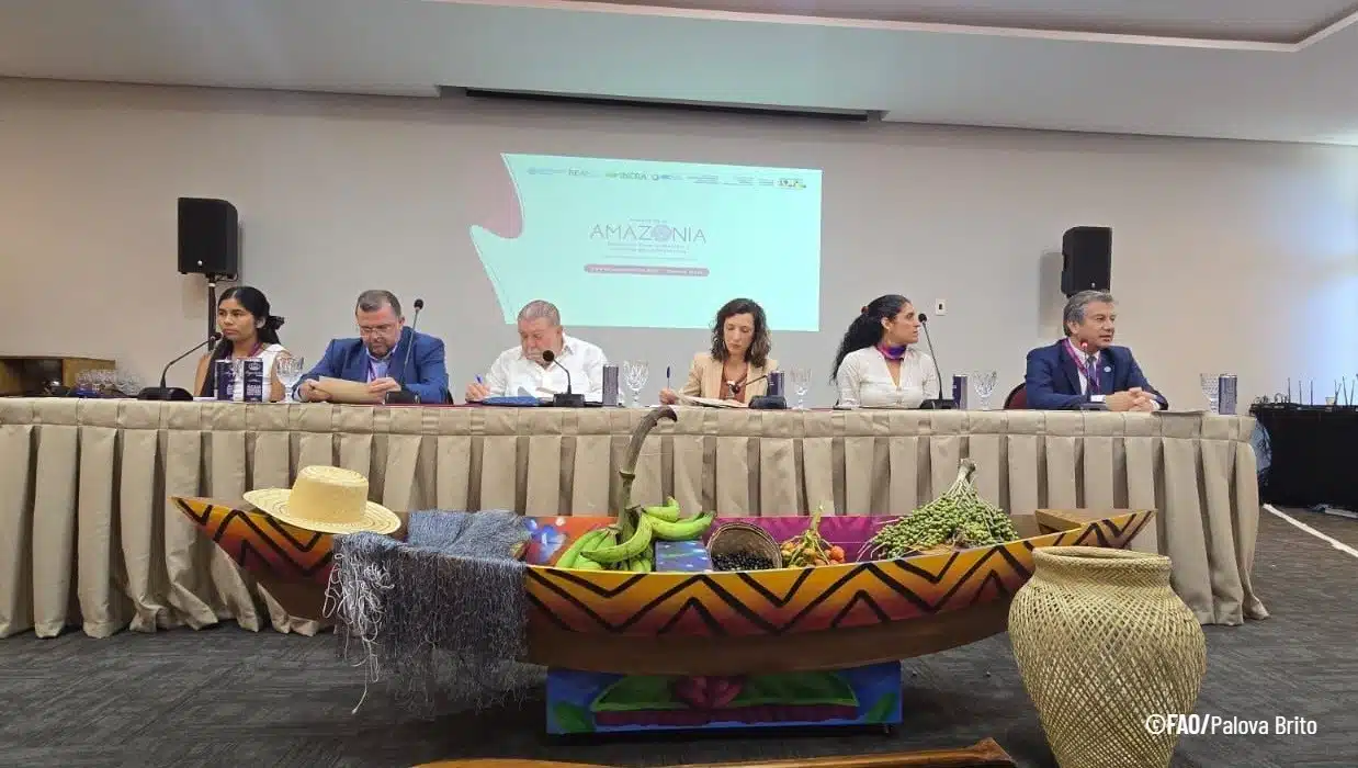 Semana da Amazônia reforça papel da região na segurança alimentar e no desenvolvimento sustentável Semana da Amazônia reforça papel da região na segurança alimentar e no desenvolvimento sustentável