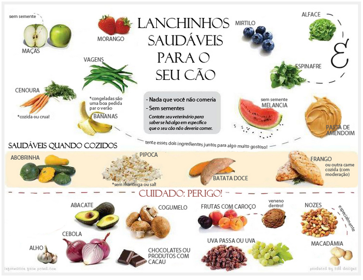 lanchinhos-saudaveis-cachorros Donos estão errando a ração e encurtando a vida dos pets sem perceber