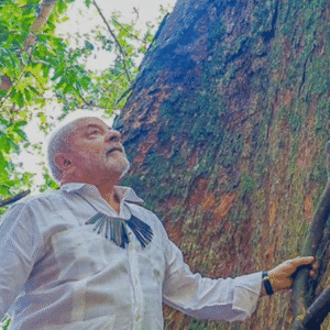 Lula garante que produtores da Amazônia não serão prejudicados por tarifa dos EUA e reforça agenda da COP30 Reprodução