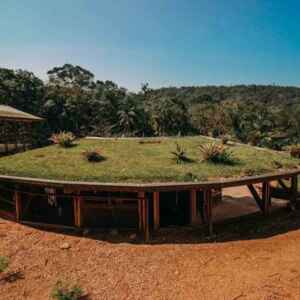 Telhados verdes unem técnica e natureza em formação no Paraná Foto: Albori Ribeiro
