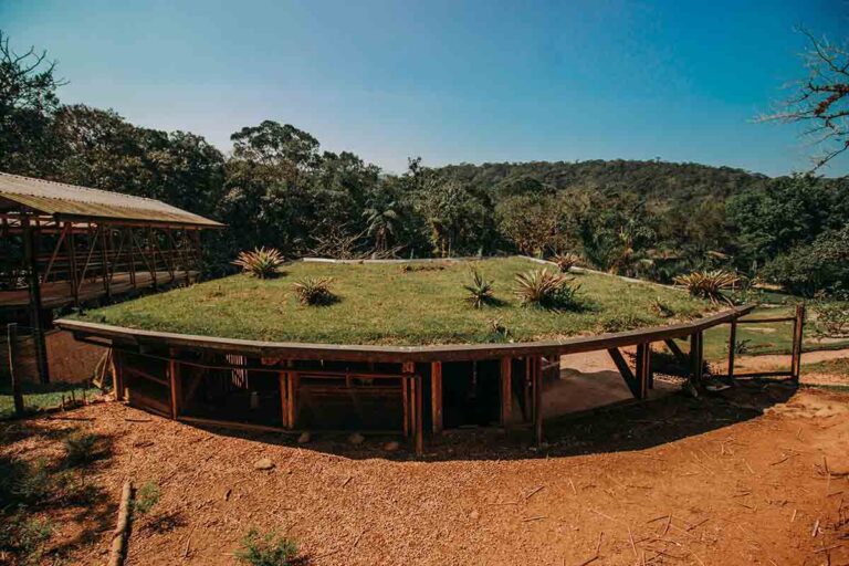 Telhados verdes unem técnica e natureza em formação no Paraná 2 Foto: Albori Ribeiro