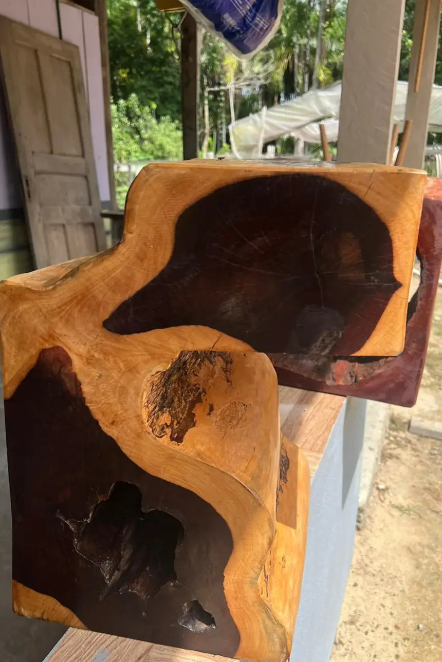 Divulgação - Fapespa