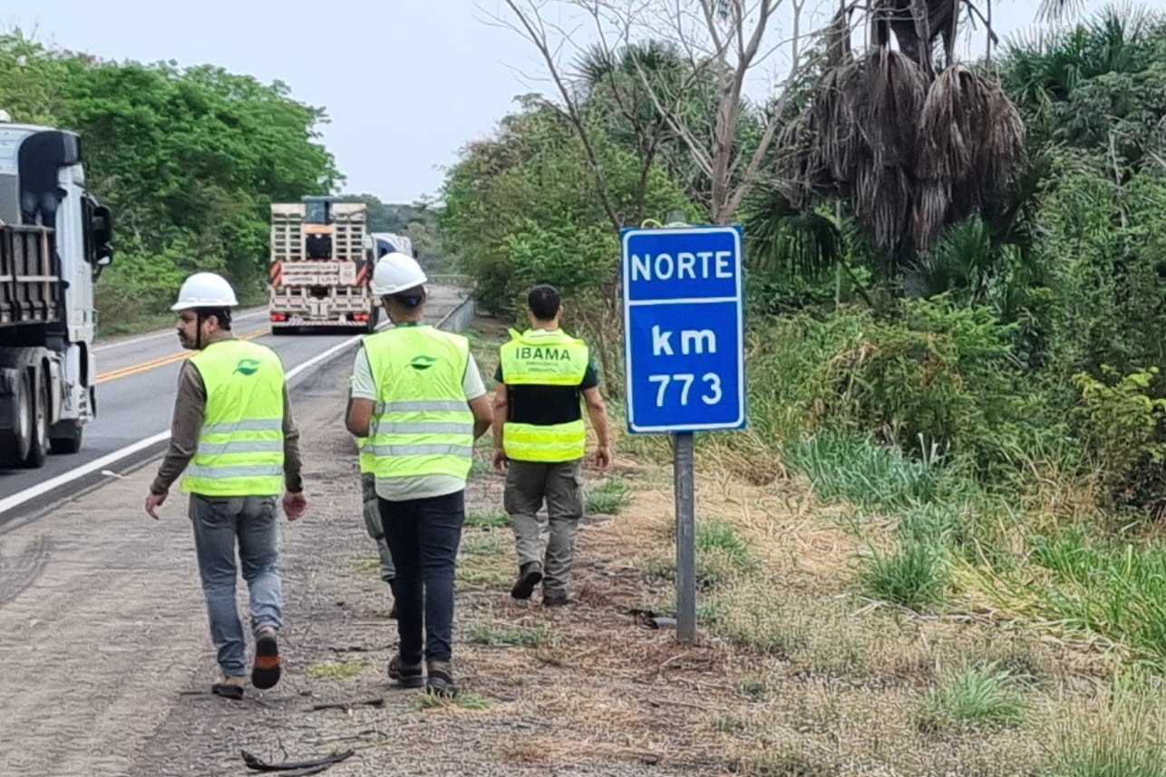 Divulgação - Ibama