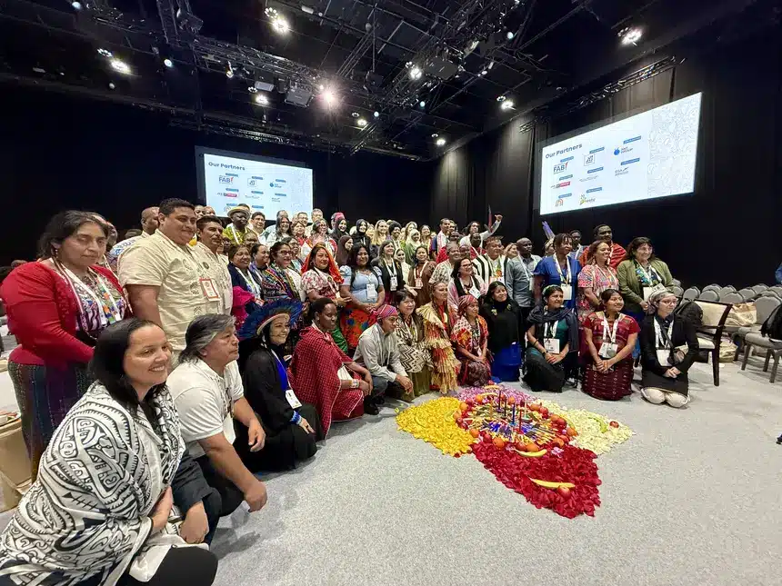 Divulgação - Agência Pará