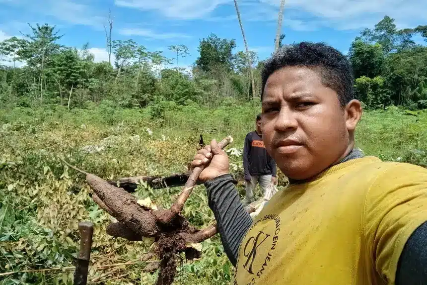 Divulgação - Ag. Pará